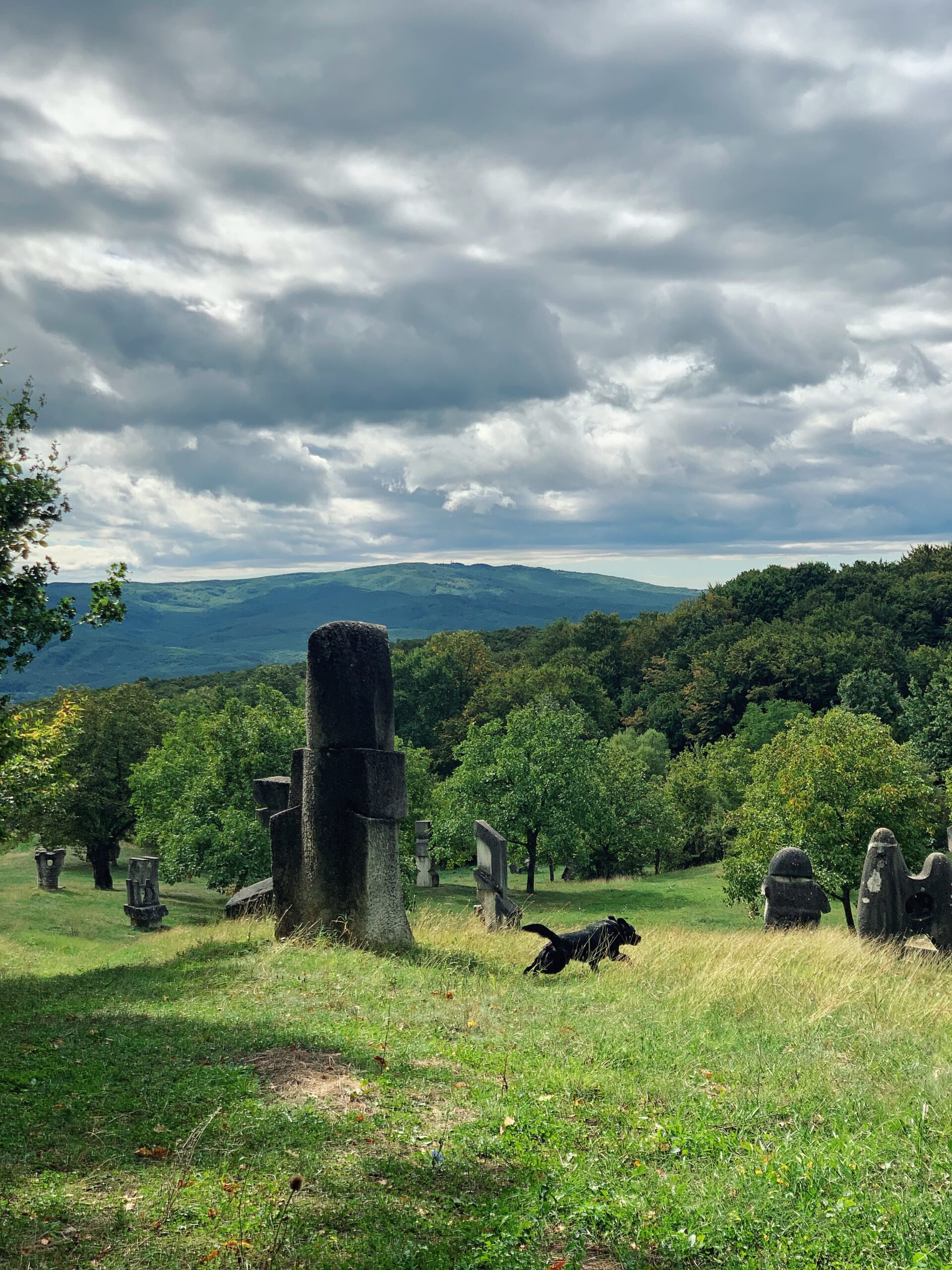 Hiking in Nature at Carpathian Estate Magura